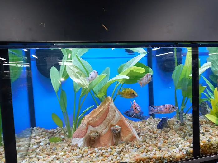 Pet Supermarket 7