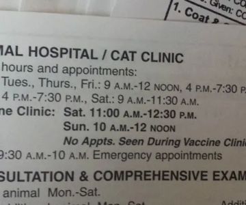 Exeter Animal Hospital