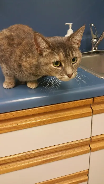 Exeter Veterinary Hospital 12