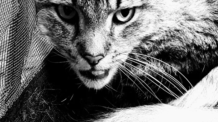 Exeter Veterinary Hospital 12