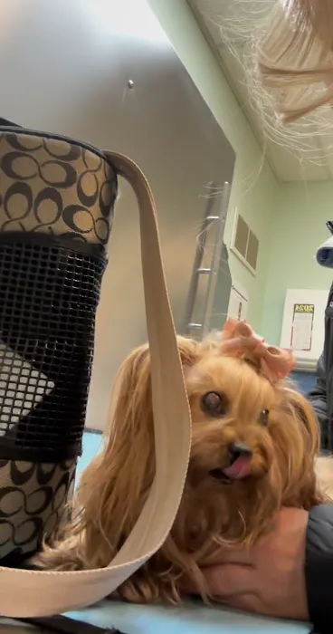 Exeter Veterinary Hospital 12