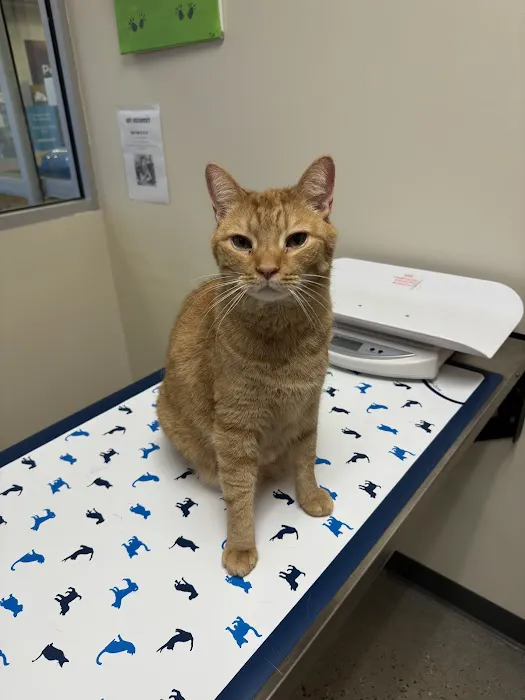 Vetco Total Care Animal Hospital 12