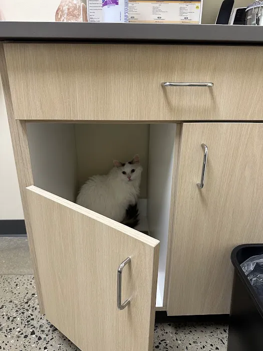 Vetco Total Care Animal Hospital 12