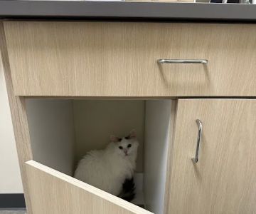 Vetco Total Care Animal Hospital