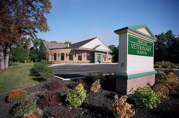 Absecon Veterinary Hospital 12