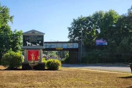 Absecon Veterinary Hospital