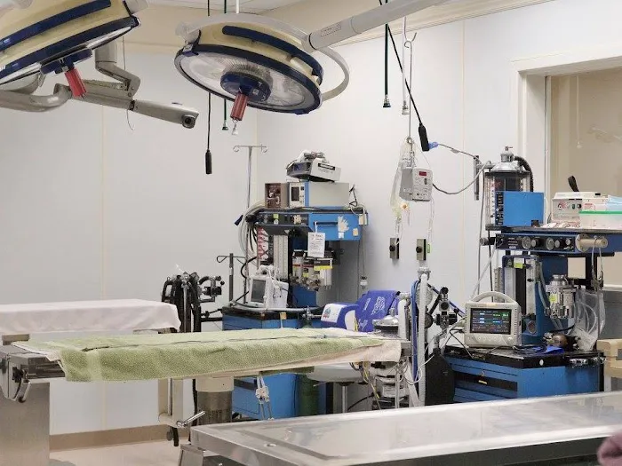 Absecon Veterinary Hospital 12