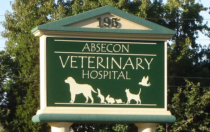 Absecon Veterinary Hospital 12