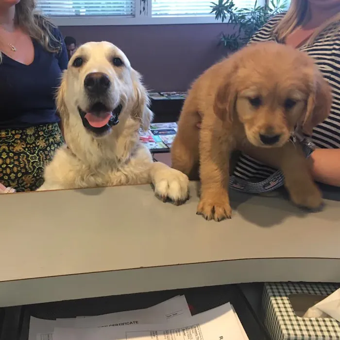 East Oak Animal Hospital 9
