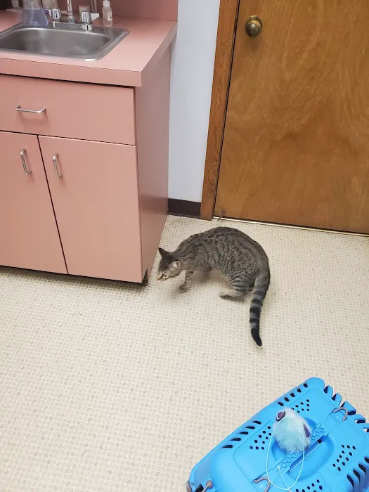 Cumberland Veterinary Hospital 4