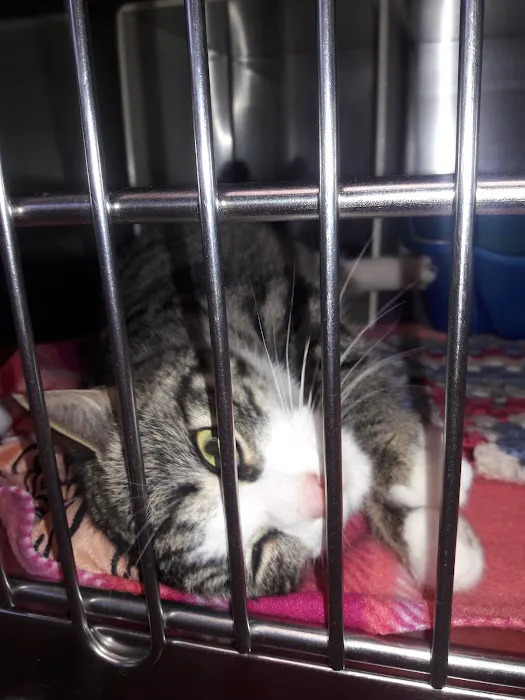 Cumberland Veterinary Hospital 10