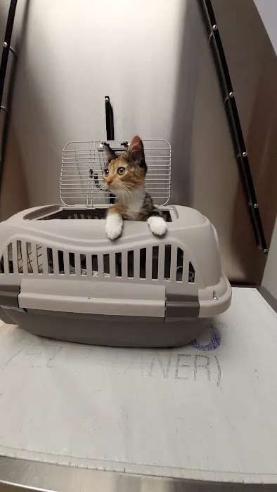 Cumberland Veterinary Hospital 3
