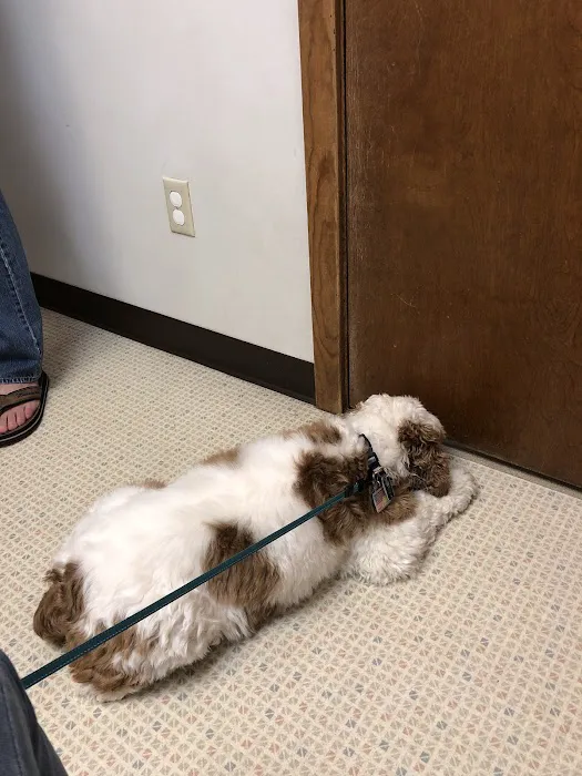 Cumberland Veterinary Hospital 5