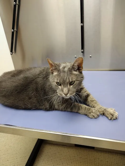 Cumberland Veterinary Hospital 7