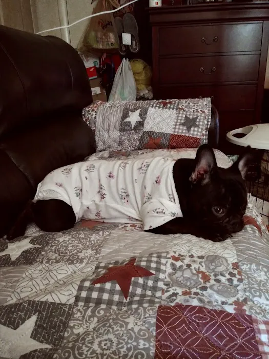 All Pets Veterinary Hospital 5