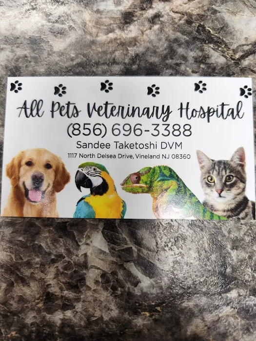 All Pets Veterinary Hospital 1