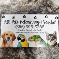 All Pets Veterinary Hospital ico