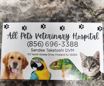 All Pets Veterinary Hospital