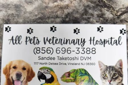 All Pets Veterinary Hospital