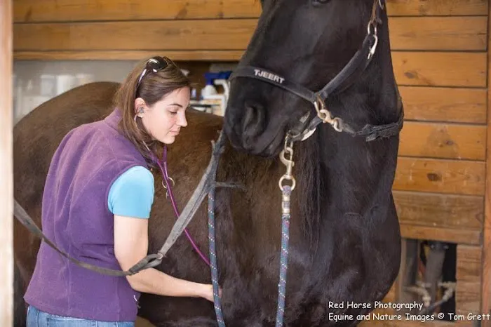 Pinewood Equine 3