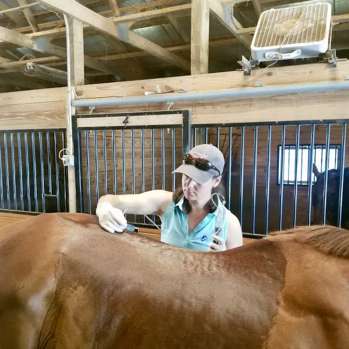 Pinewood Equine 5