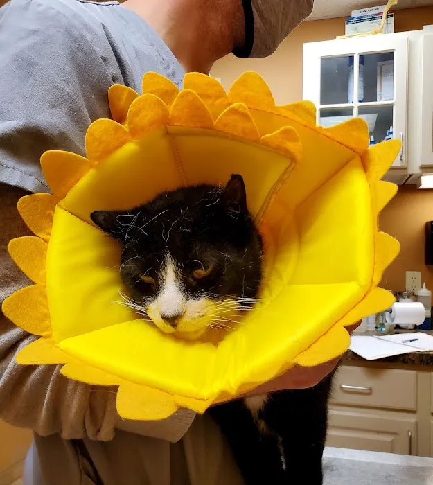 Animal Hospital of Millville 12