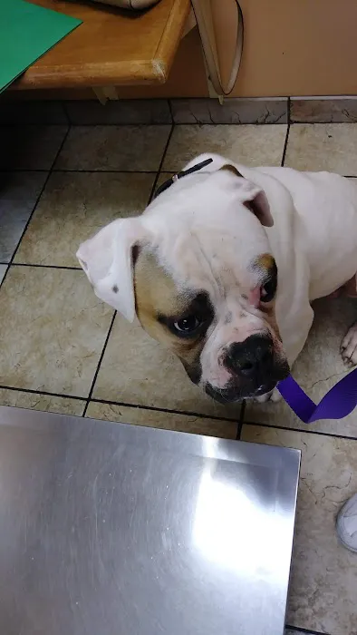 Animal Hospital of Millville 12