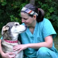 Franklinville Animal Hospital ico