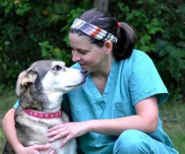 Franklinville Animal Hospital
