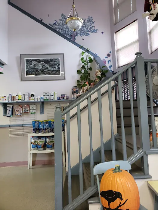 Northfield Animal Hospital 12