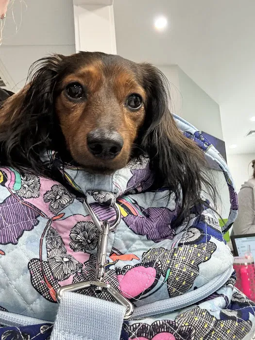 Linwood Pet Hospital 12