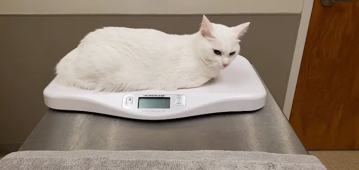 Mainland Veterinary Hospital 12