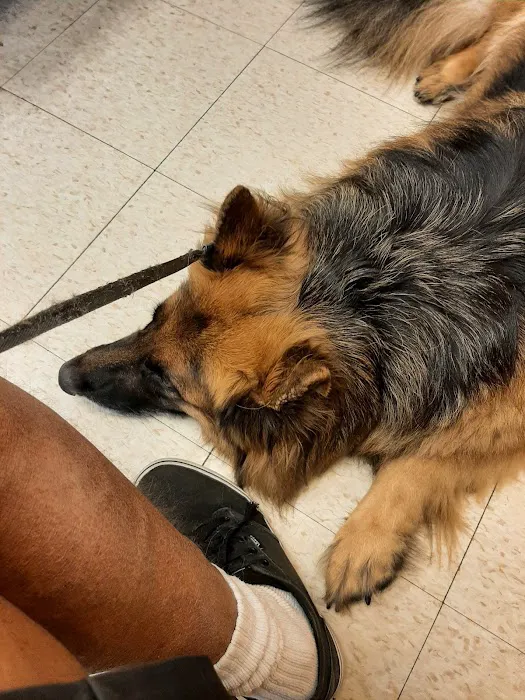 Mainland Veterinary Hospital 12