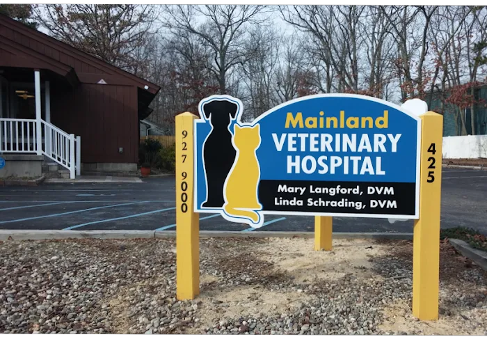 Mainland Veterinary Hospital 12