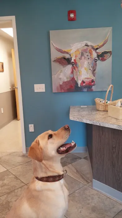 Mainland Veterinary Hospital 12