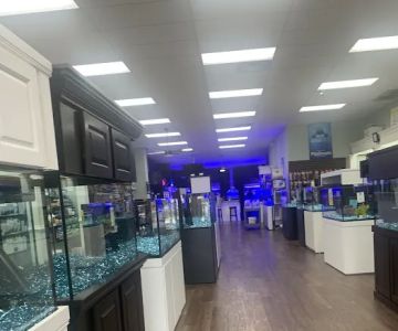 Pure Reef