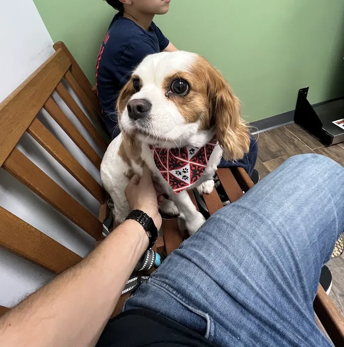 Clover Hill Animal Hospital 12
