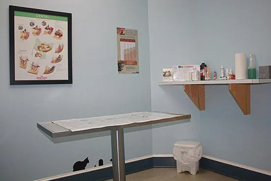 Clover Hill Animal Hospital 12