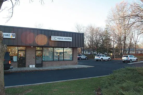 Clover Hill Animal Hospital 12