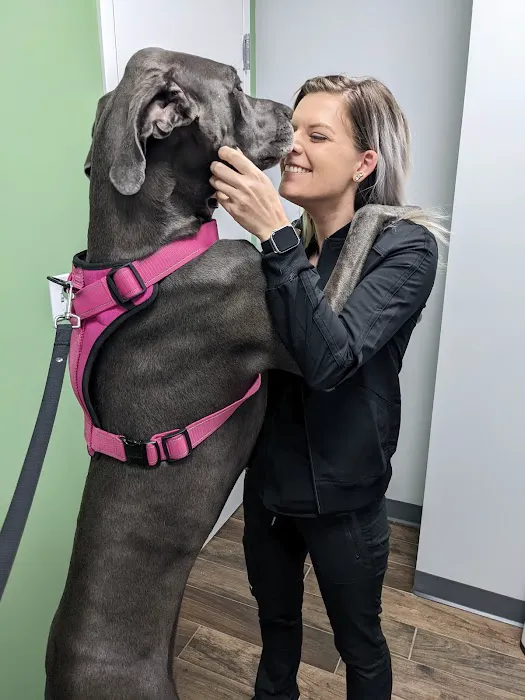 Clover Hill Animal Hospital 12