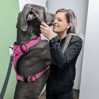 Clover Hill Animal Hospital ico