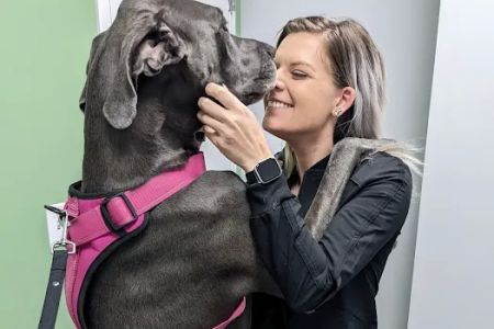 Clover Hill Animal Hospital