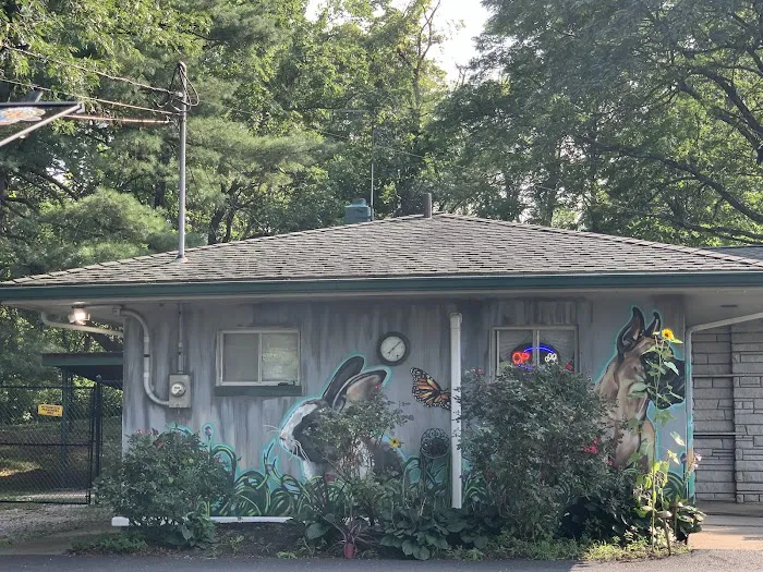 Voorhees Corner Vet Clinic 12