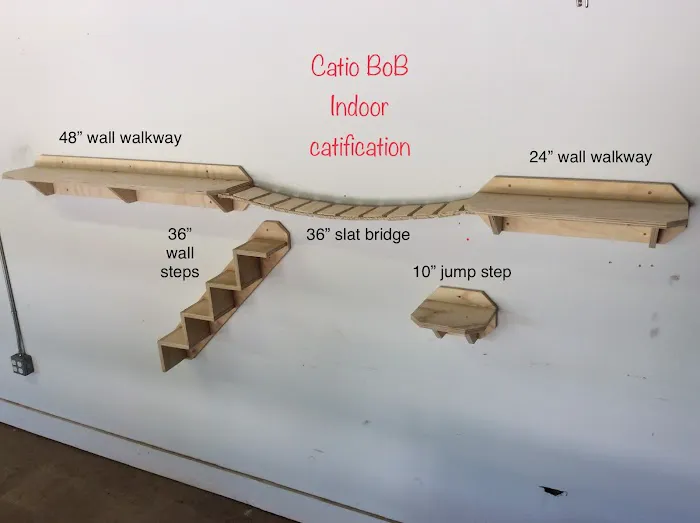 Catio BoB 12