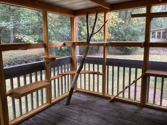 Catio BoB 12