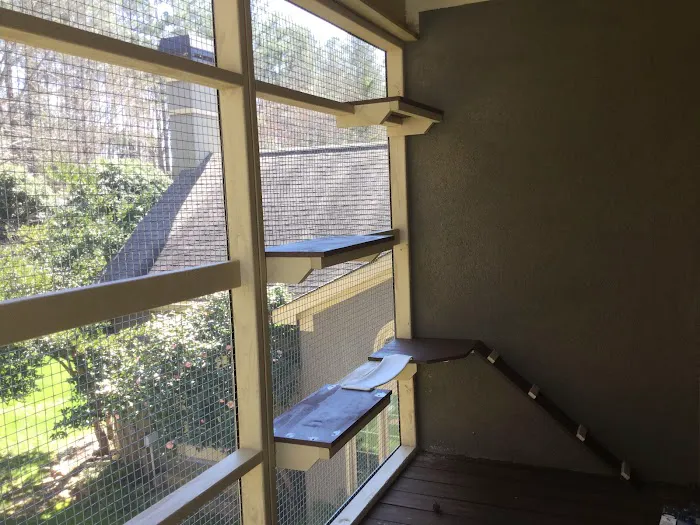 Catio BoB 12