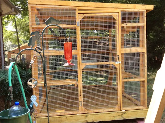Catio BoB 12