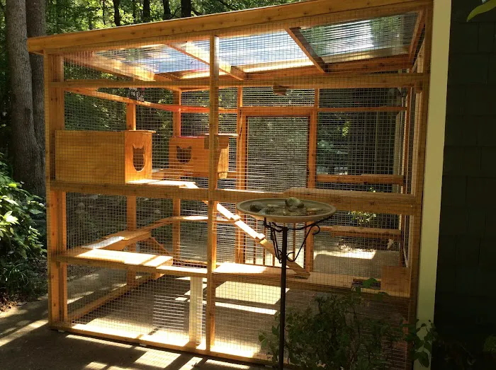 Catio BoB 12