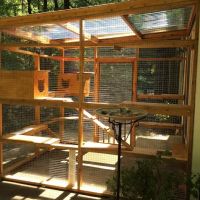Catio BoB ico