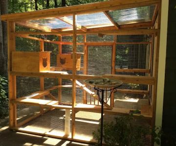 Catio BoB